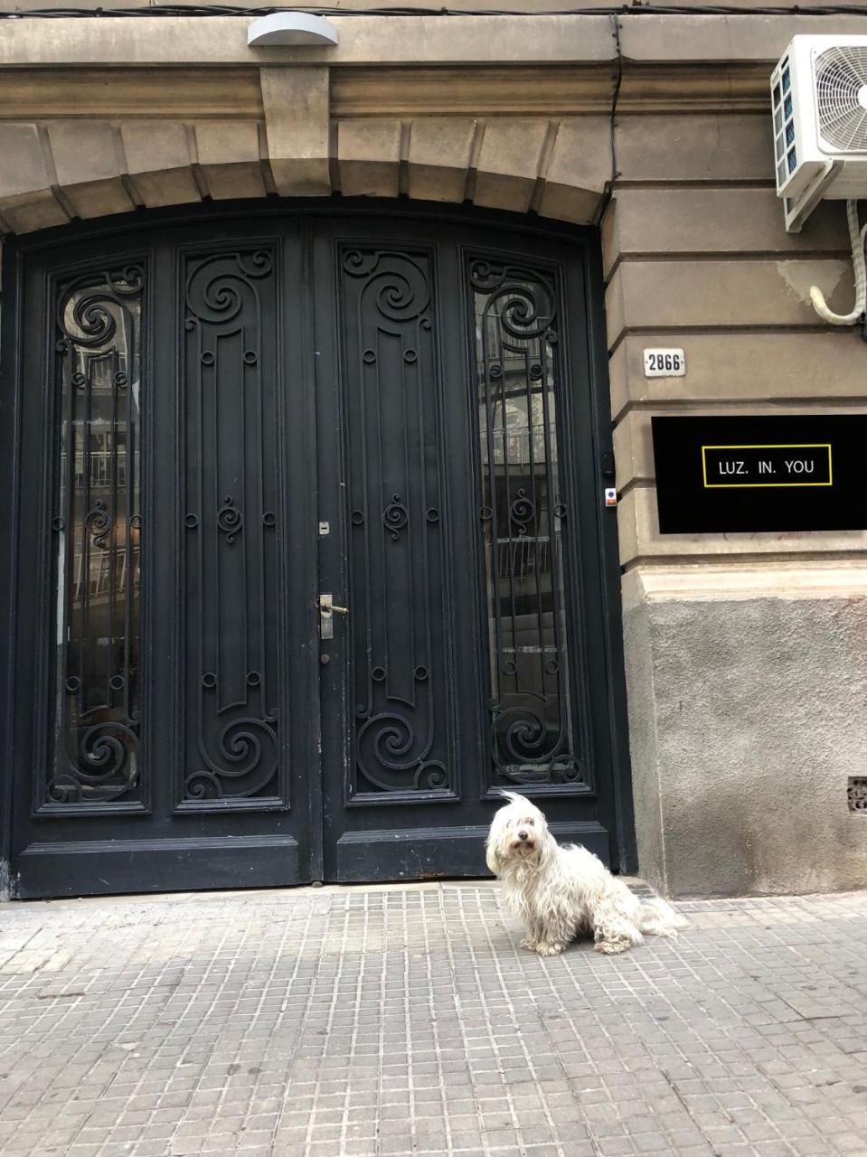 Luz In You Montevideo Luaran gambar